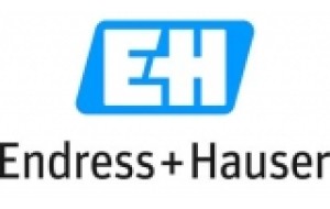 Endress+Hauser