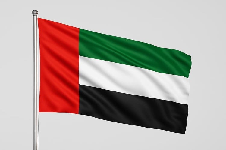 United Arab Emirates flag on a silver pole waving against a neutral background